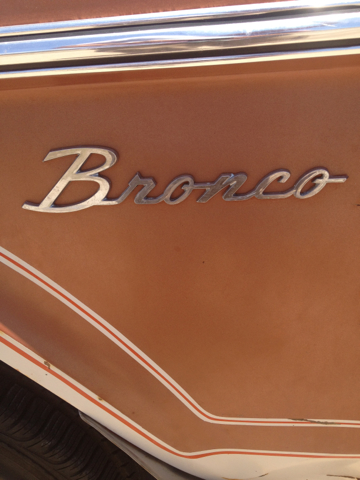 Ford Bronco 1975 photo 5