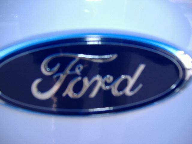 Ford Econoline Wagon 2008 photo 5