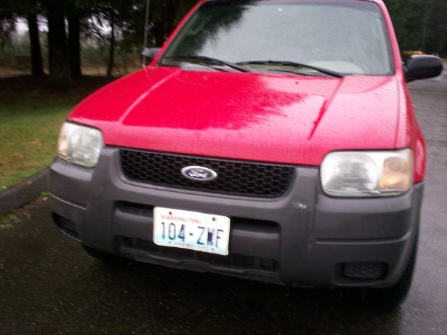 Ford Escape 2002 photo 4