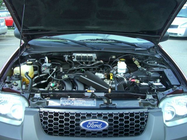 Ford Escape 2005 photo 3
