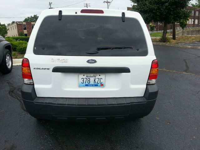 Ford Escape Reg Cab 159.5 WB C5B SUV