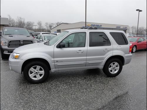 Ford Escape ESi Other