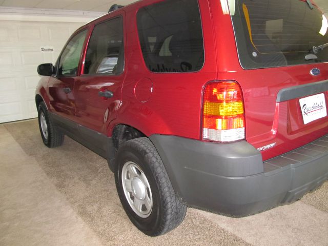 Ford Escape Reg Cab 159.5 WB C5B SUV