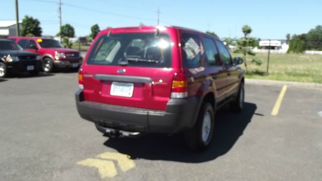 Ford Escape Reg Cab 159.5 WB C5B SUV