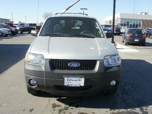 Ford Escape 2007 photo 1