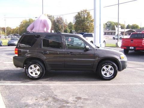 Ford Escape ESi Other