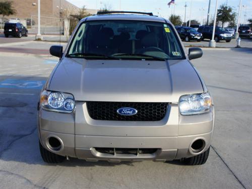 Ford Escape 2007 photo 1