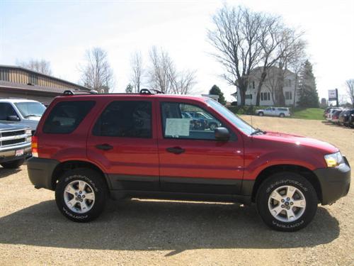 Ford Escape 2007 photo 4