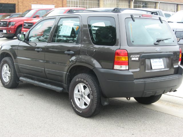 Ford Escape Reg Cab 159.5 WB C5B SUV