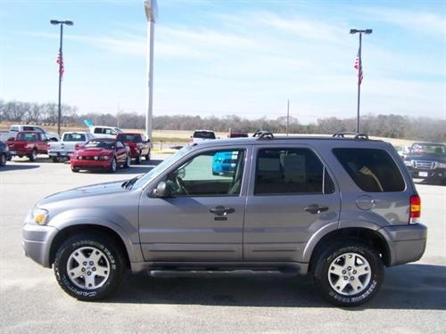 Ford Escape 2007 photo 4