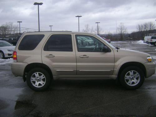 Ford Escape 2007 photo 3