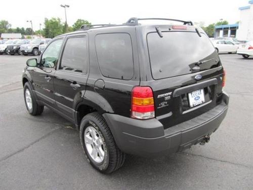 Ford Escape 2007 photo 2