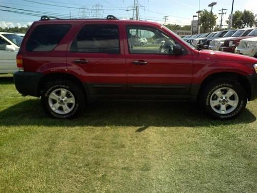 Ford Escape 2007 photo 3