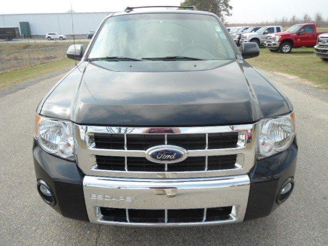 Ford Escape 2008 photo 2