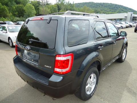 Ford Escape 2009 photo 1