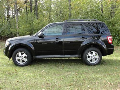 Ford Escape 2009 photo 1