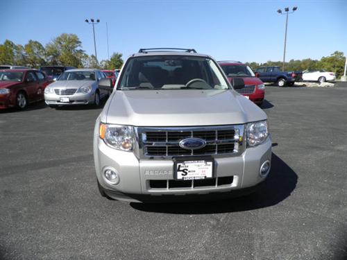 Ford Escape 2009 photo 4