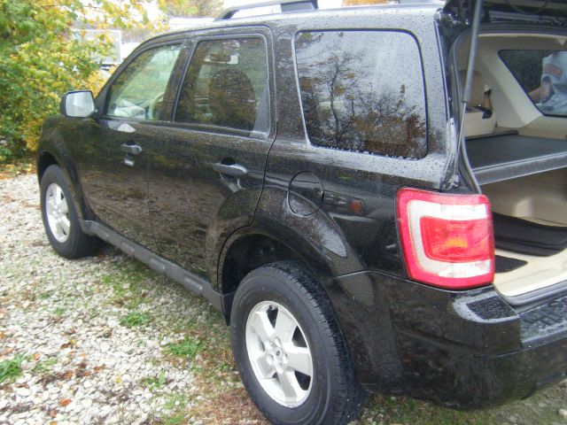 Ford Escape XLT Xcab5.4 SUV