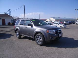 Ford Escape ESi Other