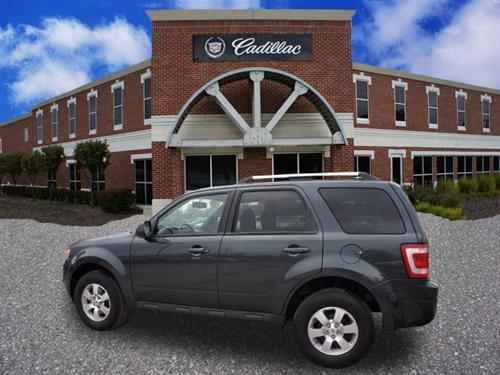 Ford Escape 2009 photo 3