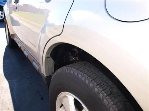 Ford Escape 2009 photo 3