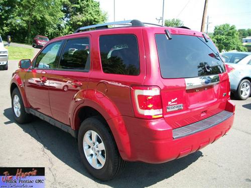 Ford Escape 2010 photo 2