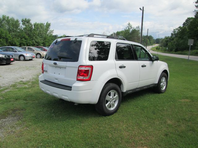 Ford Escape 2010 photo 2