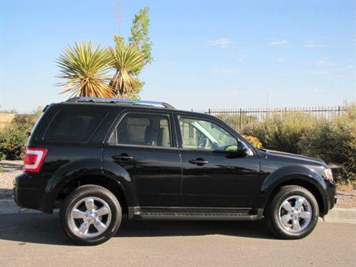 Ford Escape 2010 photo 1