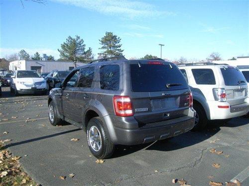 Ford Escape 2010 photo 2