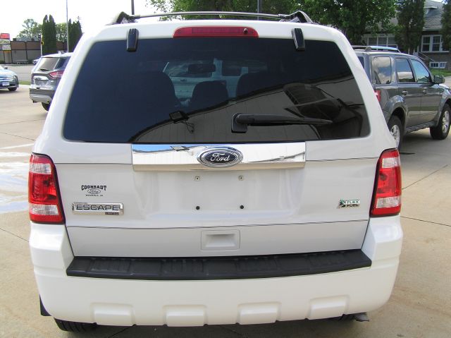 Ford Escape 2010 photo 11