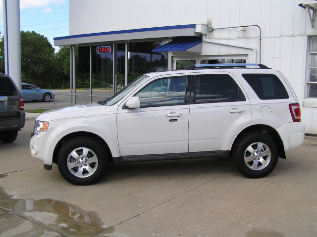 Ford Escape 2010 photo 15