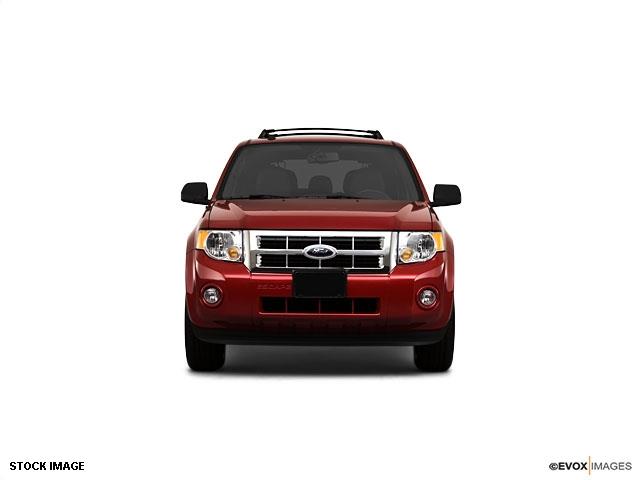 Ford Escape 2010 photo 1