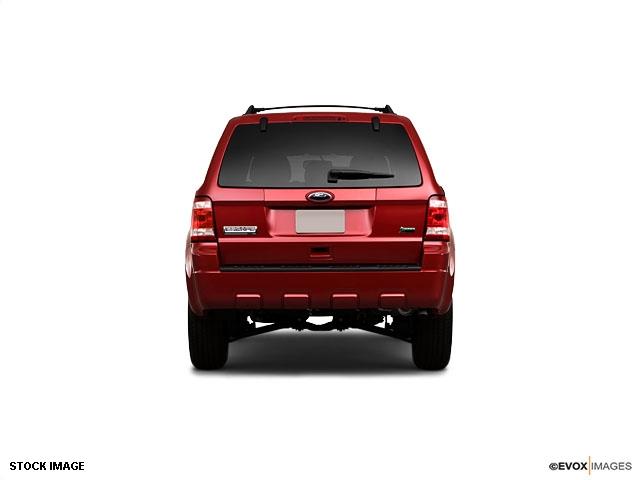Ford Escape 2010 photo 2