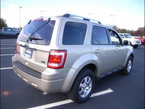 Ford Escape 2010 photo 3