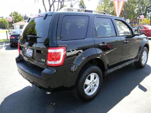 Ford Escape 2010 photo 3
