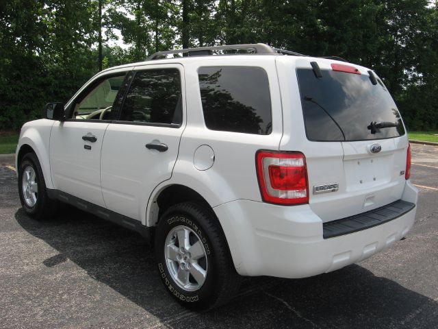 Ford Escape 2010 photo 1