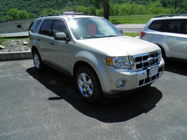 Ford Escape 2011 photo 6