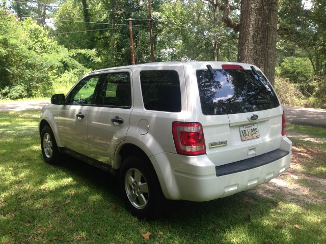 Ford Escape 4DR 4WD BASE AT SUV