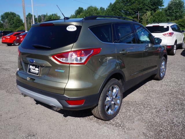 Ford Escape 2014 photo 1