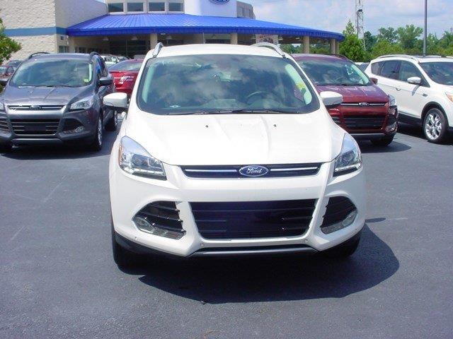 Ford Escape 2014 photo 1