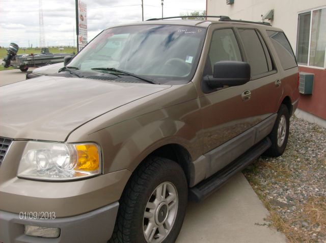 Ford Expedition 2003 photo 1