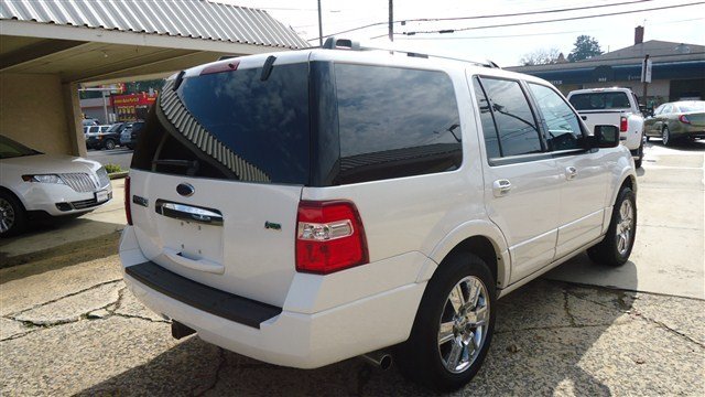 Ford Expedition 2010 photo 1