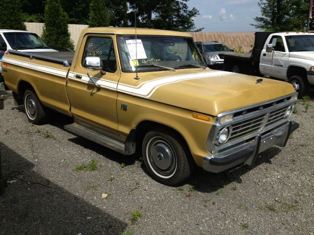 Ford F-150 1975 photo 3
