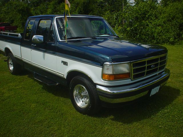 Ford F-150 1995 photo 2