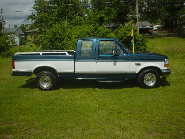 Ford F-150 1995 photo 3