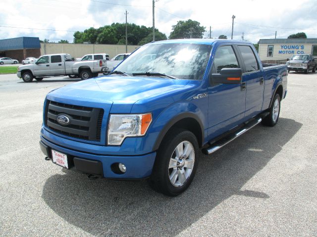 Ford F-150 2009 photo 3