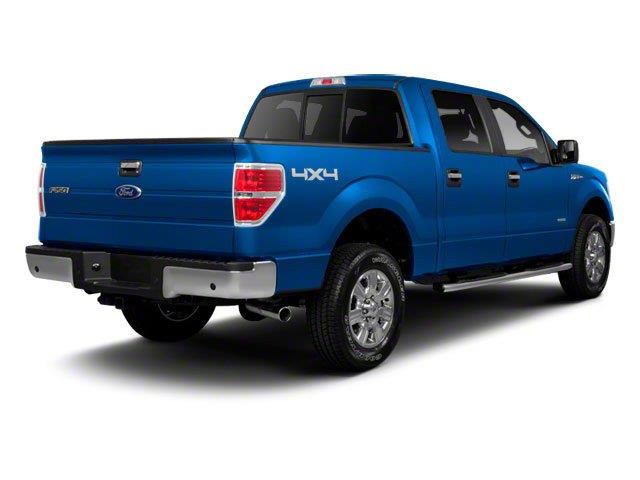 Ford F-150 2010 photo 1