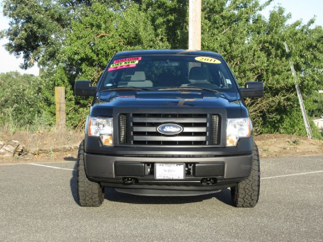 Ford F-150 2011 photo 3
