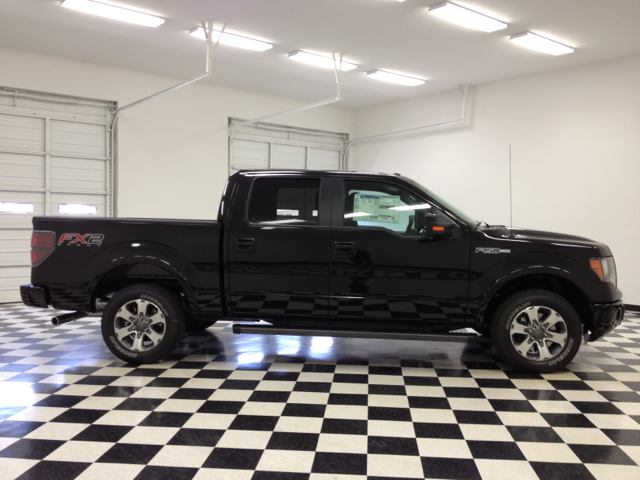 Ford F-150 2013 photo 1