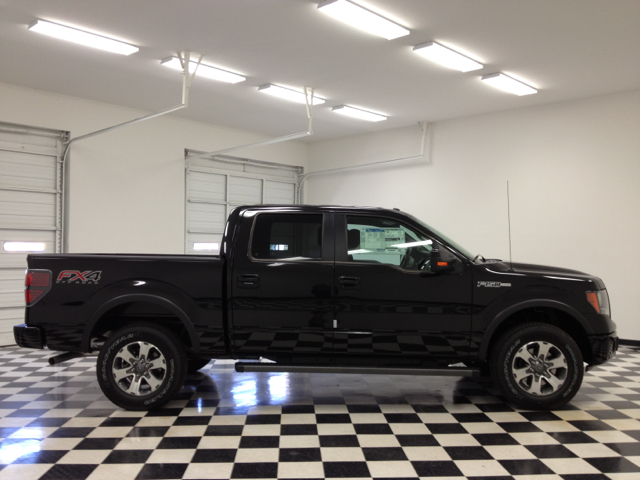 Ford F-150 2013 photo 2
